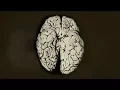 A Scientist Spilled 2 Drops Organic Mercury On Her Hand This Is What Happened To Her Brain