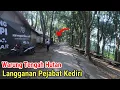 Download Lagu Warung Sendirian Di Hutan Gunung Wilis Langganan Bupati Kediri