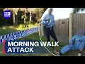 Details emerge over alleged rape during morning walk 9News Australia