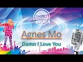 Download Lagu Agnes Mo - Damn I Love You (Lyric+Audio)