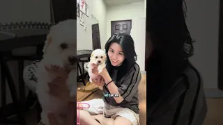 Thành viên mới - Coby ❤️ 