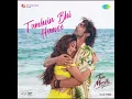 Tumhein Bhi Humse - Audio| Tum Mere Ho | Gurmeet Choudhary, Isha Malviya, Vishal Mishra, Mithoon