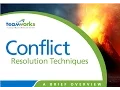 Conflict Resolution Techniques