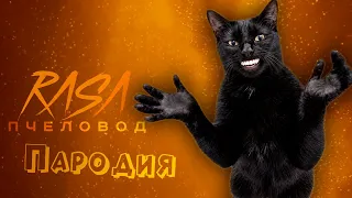 ПЕСНЯ про КОТ ХЛОПАЕТ В ЛАДОШИ мем клип Rasa - Пчеловод ПАРОДИЯ