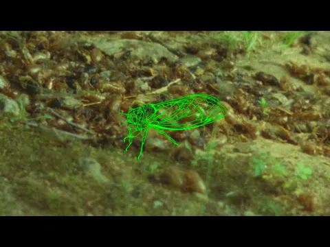 Eastern Anthems Trailer (by Matthew Wolkow & Jean-Jacques Martinod)