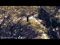Download Lagu Jewel Xu ft. Teguh Vagetoz - Cinta Kita (Music Lyric)