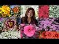 15 Perennials that Love the Heat Garden Answer