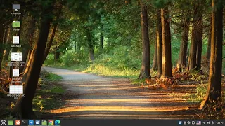 Network Programming - Lecture 4
