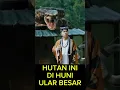 TERYATA ULAR BESAR MELENAN MANUSIA
