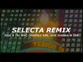 Selecta nennen Remix(Jesse And The Wolf, Ghostface Killah, Juelz Santana, and Telli)