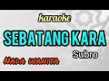 Download Lagu SEBATANG KARA karaoke nada wanita enak gurih bener