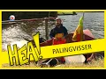Download Lagu HEA! Palingvisser Pascal