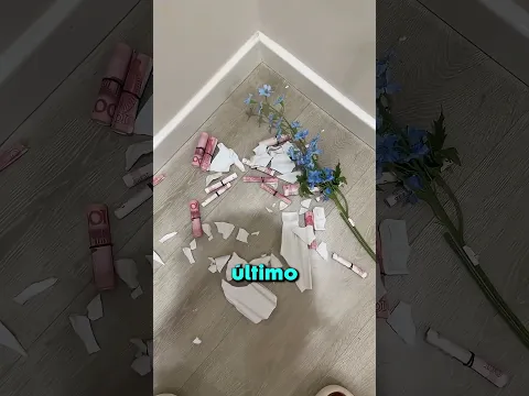 Este Travieso Gato Es Un Detector De Dinero 🐱🐧