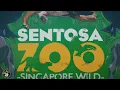 Building the Perfect Entrance in Planet Zoo 2 Franchise Mode! | Sentosa Zoo