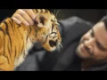 Hisham el Hajj - Layli w Laylat / هشام الحاج - ليلة وليلات