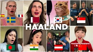 Haaland Haaland · CTID - WHO SANG IT BETTER  #cover #duet #haaland #ctid #halland #vs #song #fyp