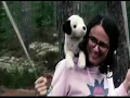 Izzy Bunny - The Miracle