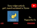 T - 16 Entry Widget Methods get insert and delete in Tkinter