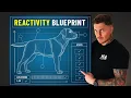 Download Lagu If I had a reactive dog in 2025, this is what I’d do (FULL BLUEPRINT)