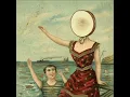 Lagu Neutral Milk Hotel- In The Areoplane Over The Sea [Full Album]