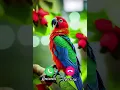 Lovely parrot #ringtone