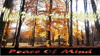 musik penghantar tidur dan relaksasi musik meditasi musik santai