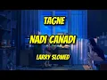 TAGNE nadi canadi ( slowed + reverb )/بطئ