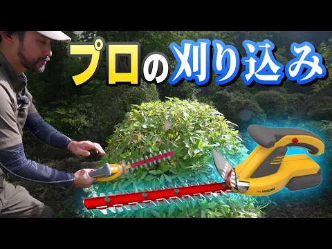 【顧客満足賞受賞店】◆植え込み・生垣の剪定◆庭木をきれいに仕上げませんか？？