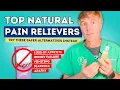 Ditch NSAIDs Top 7 Natural Anti-inflammatories and Painkillers for Pets