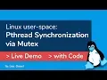 342 Linux user-space Pthread Synchronization via Mutex - Live Demo and Example