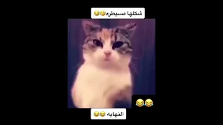 مسيطره واضح Shorts السعودية 