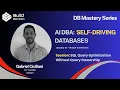 SQL Query Optimization Without Query Ownership Gabriel Ciciliani Releem