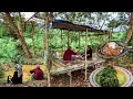 Download Lagu Kehidupan di kampung dayak, makanan dayak mengungkap rahasia sambal kuliner kalimantan