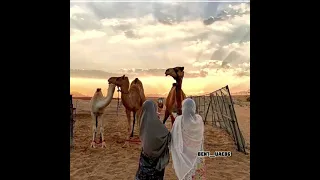 شدني شوق الضمايا للغدير عود  ياسلام ع القديم روعه   دندنها