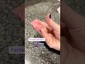 Stages of Cervical Mucus for Fertility