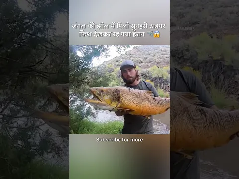 जंगल की झील में मिली सुनहरी टाइगर फिश देखकर रह गया हैरान 🦈😱 #shorts