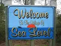 Sea Level...Canine Man