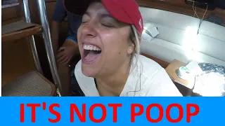 IT’S NOT POOP [Ep 41] Sailing Salacia Star