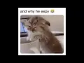 and why he eepy meme