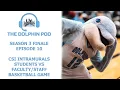 The Dolphin Pod - Season 3 Episode 10