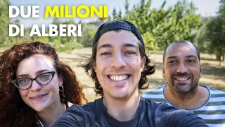 Piantare alberi per lavoro! 🌲 Imbucato in Treedom