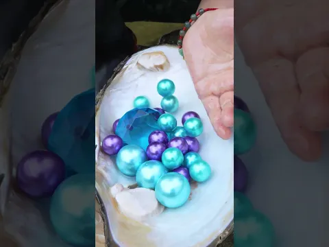 Freshwater giant clams, collecting high-quality colored pearls