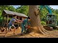 Veteran personally saws down and sells an ancient tree the husband s sinister scheme