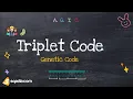 Genetic Code Triplet Code Adenine Guanine Cytosine Thymine