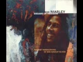 Download Lagu Bob Marley  Rebel music Dub