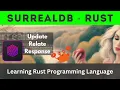 SurrealDB and Rust UPDATE RELATE Rust Language