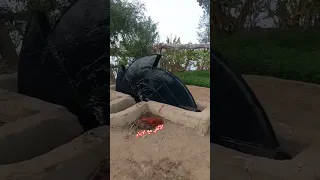 مواطن مصري يرجع لزمن الجميل لاستخدام الساقيه الزراعيه للتوفير المادى 