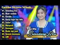 Download Lagu Cantika Davinca - Selendang biru | Full Album Terbaru 2024 | LDR,Menyerah,Kenangan