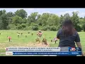 Families concerned with hidden headstones at Pinewood Memorial Cemetery