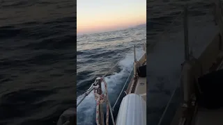 Motorsailing to Catalina. Sailing during a sunrise doesn’t get any better than this. #sailing #sail￼